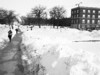 Snow on 3-13-98.jpg